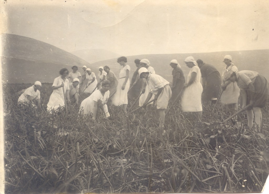 נשים בשדה 1924