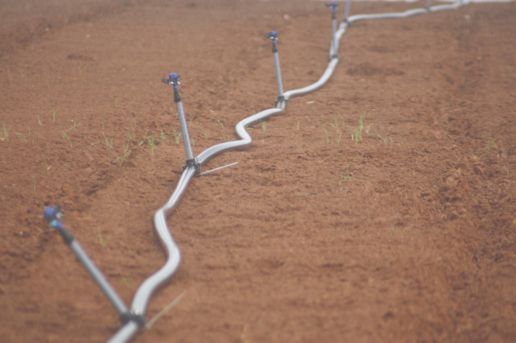 An irrigation pipe at Kibbutz Shefayim in central Israel. Photo: Oren Peles / Wikimedia