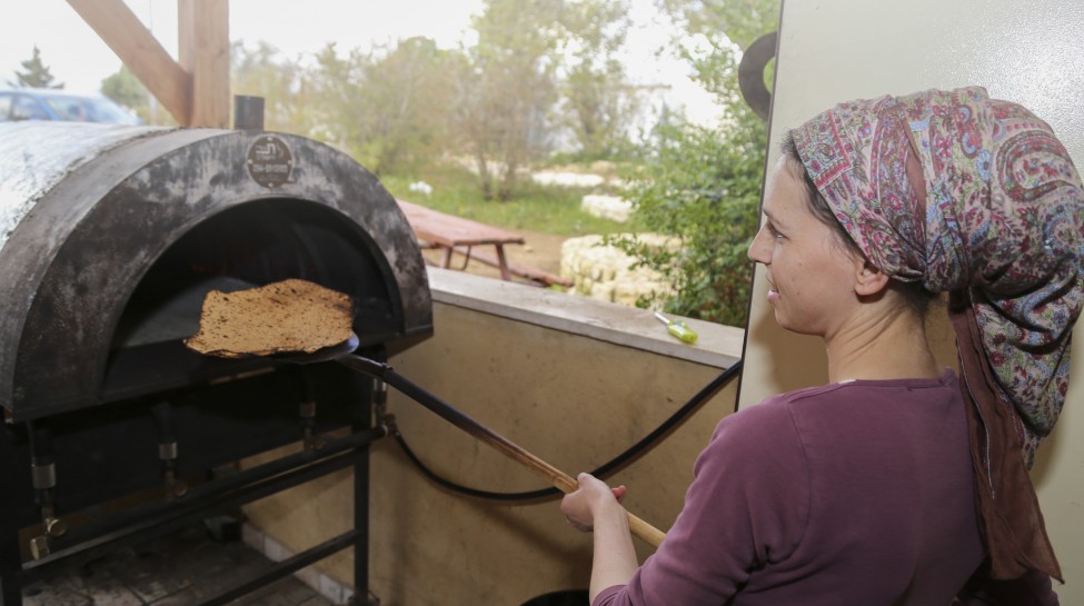 Jewish women preparing Matzot at Beit Midrash "Beor Panich" for the eight-day Pesach holiday (Passover) in Gush Etzion on April 2, 2017. Passover commemorates the Israelites' exodus from Egypt some 3,500 years ago. Because of the haste the Jews left Egypt, the bread they had prepared for the journey did not have time to rise. To commemorate their ancestors' plight, religious Jews do not eat leavened food products throughout Passover. Gershon Elinson/Flash90